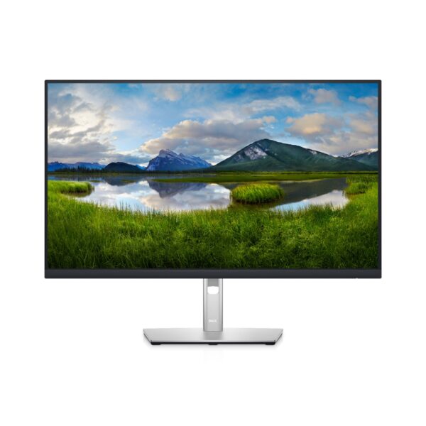 Dell Monitor P2425H - 23,8" (Kauf)